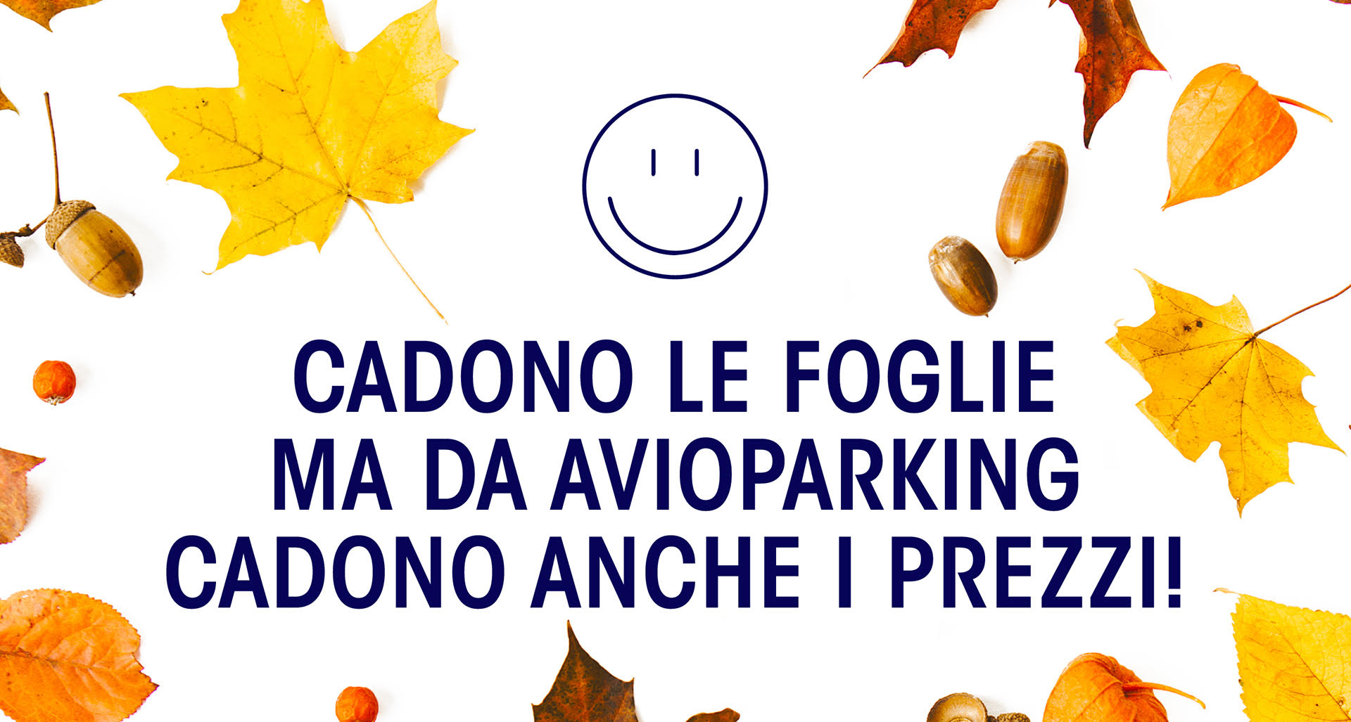 PROMO D'AUTUNNO 🍂 Sconto del 23%